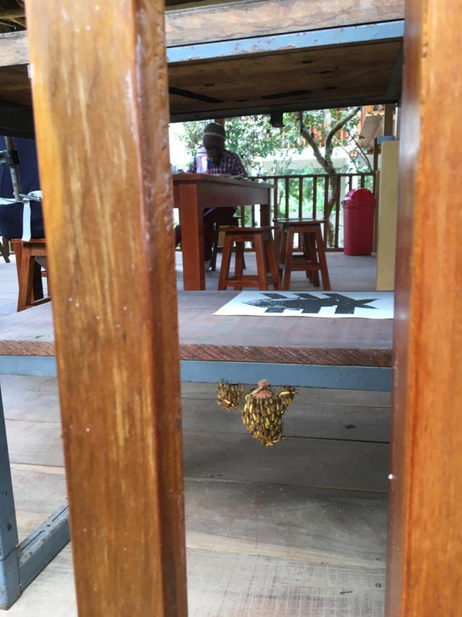 Indano Art Lodge Lamas Kültér fotó